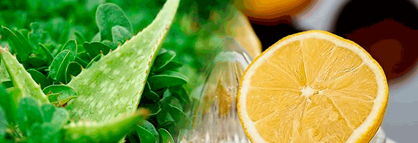Té de aloe vera con limón