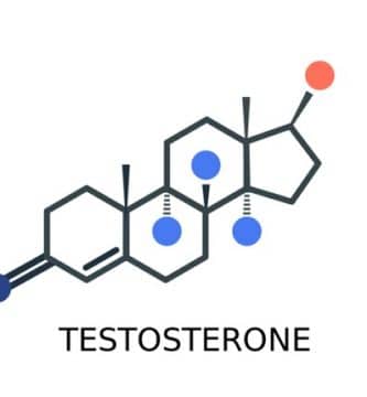 Cómo aumentar la testosterona